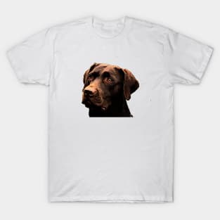 Chocolate Lab T-Shirt